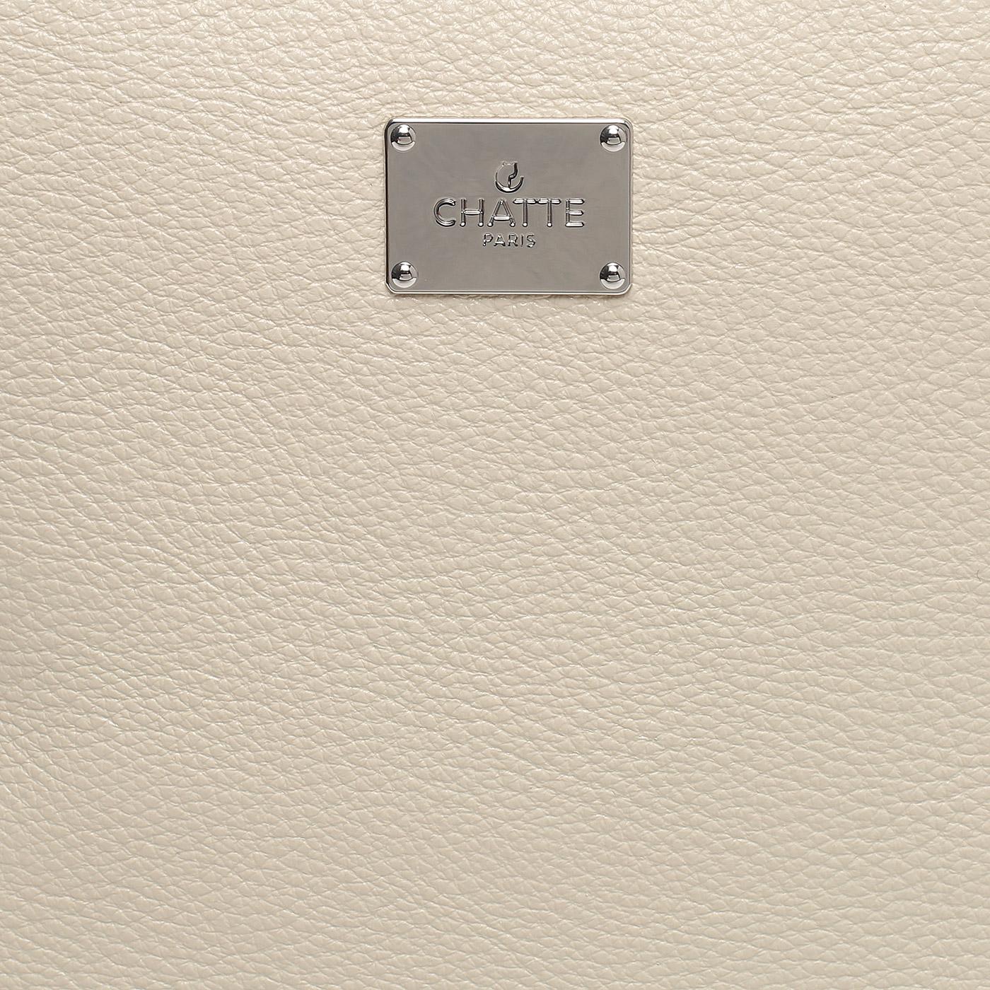 Кожаный рюкзак Chatte Lion