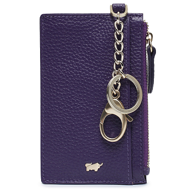 Braun Buffel